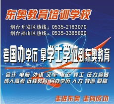 青岛东奥教育咨询 点亮学业与职业的双向明灯