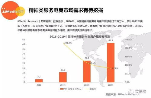 2017上半年中国精神类服务电商市场研究报告 教育咨询领域深度解析